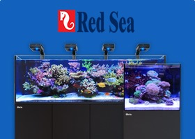 Red Sea Aquariums