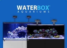 Waterbox Tanks