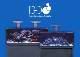 D-D Aquariums