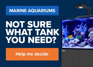 Marine Aquariums