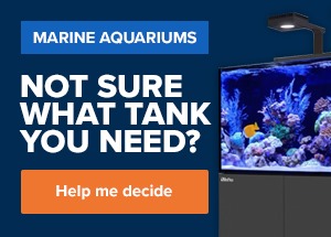 Marine Aquariums