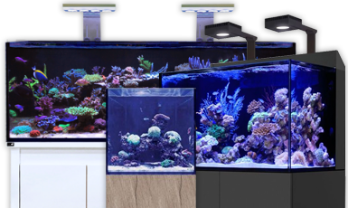 Marine Aquariums