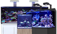 Marine Aquariums