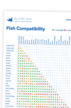 Fish Compatibility
