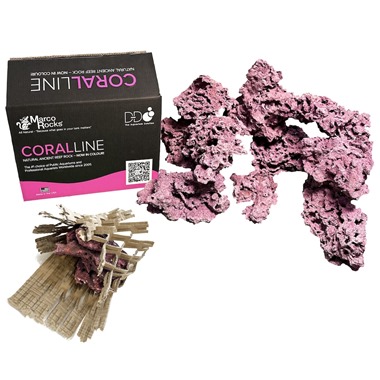 D-D Marco Rock Coralline