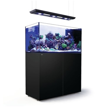Red Sea REEFER MAX Peninsula G3+ – Complete Marine Reef Aquarium