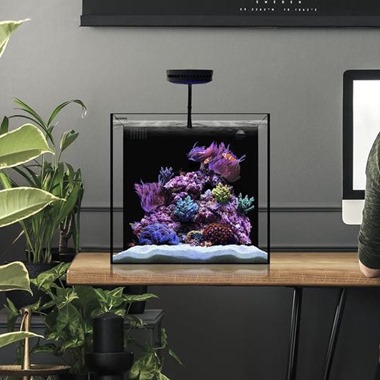 Water box hot sale aquariums