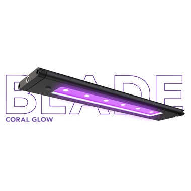 AI Blade Coral Glow