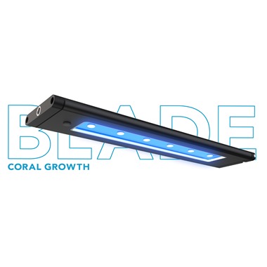 AI Blade Coral Growth