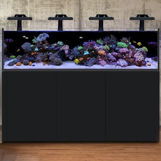 Waterbox Reef LX