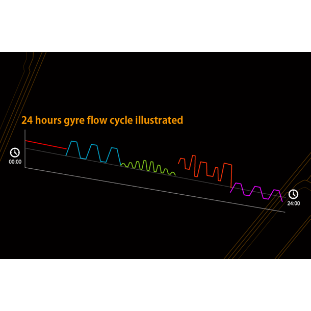 Maxspect Jump Gyre