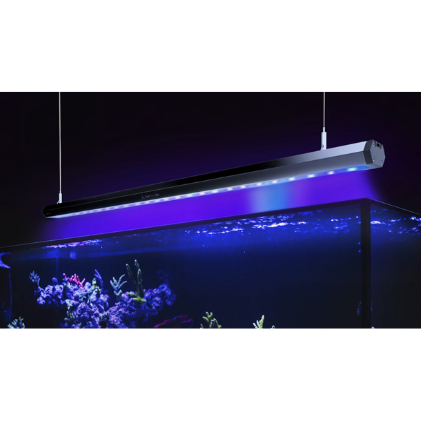 Reef Factory Reef Flare Bar 2