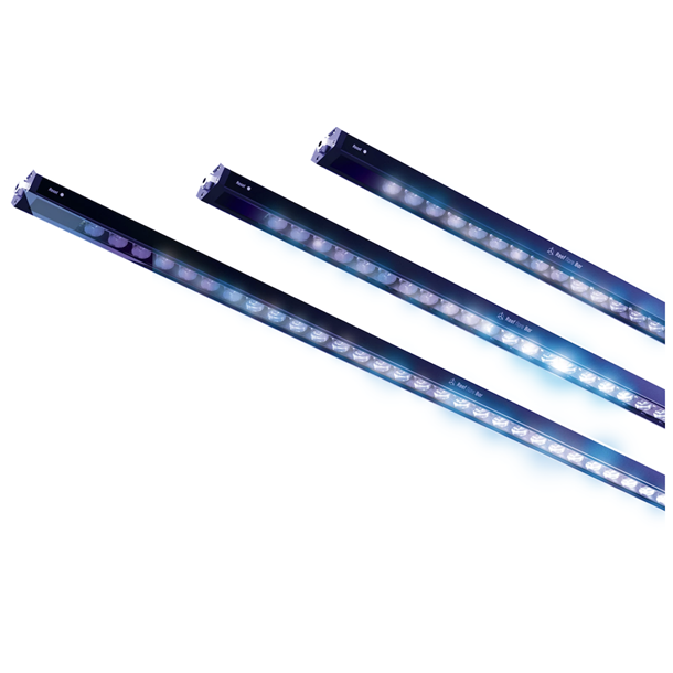 Reef Factory Reef Flare Bar 2