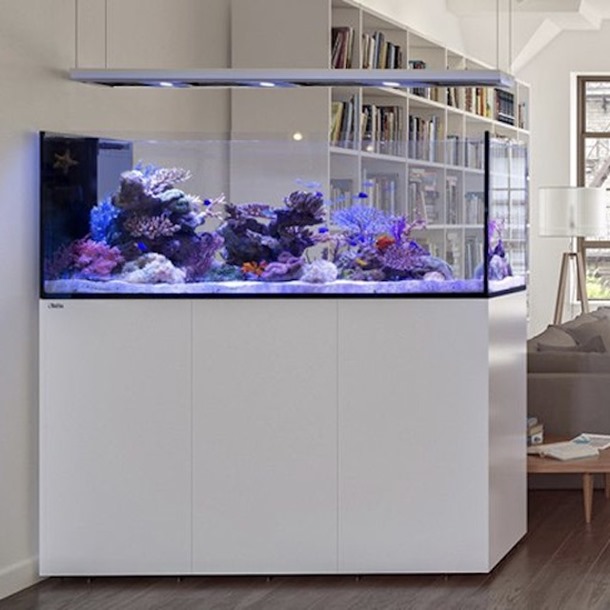 Red Sea REEFER MAX Peninsula G3+ – Complete Marine Reef Aquarium