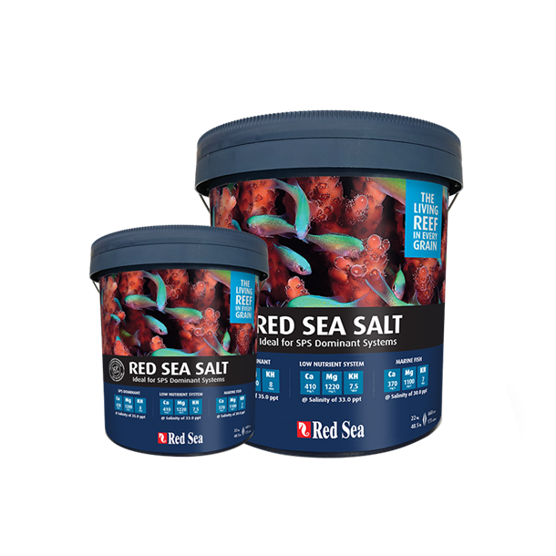 Red Sea Salt