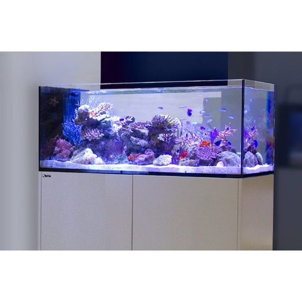Red Sea REEFER Peninsula G3+ – Reef-Ready Marine Aquarium & Cabinet