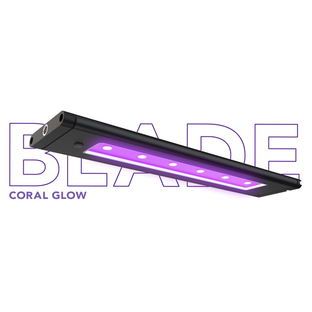 AI Blade Coral Glow