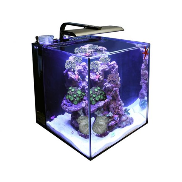 TMC Next Wave 60 Aquarium