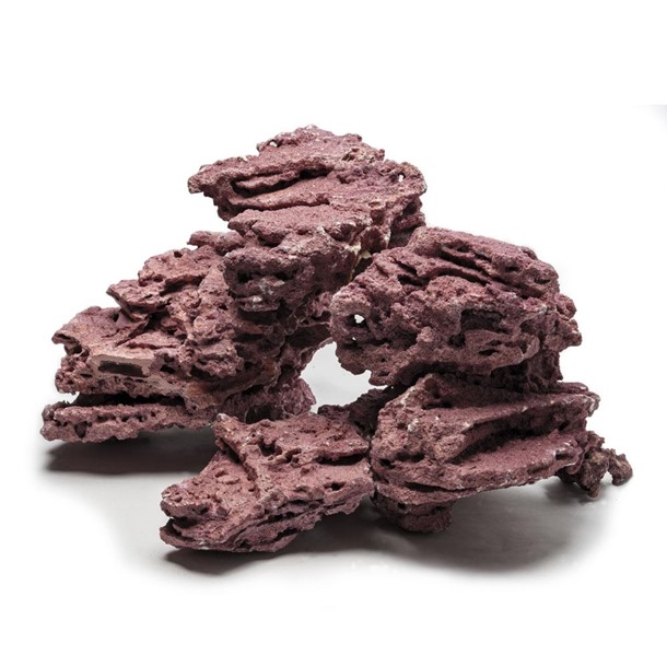 D-D Marco Rock Coralline