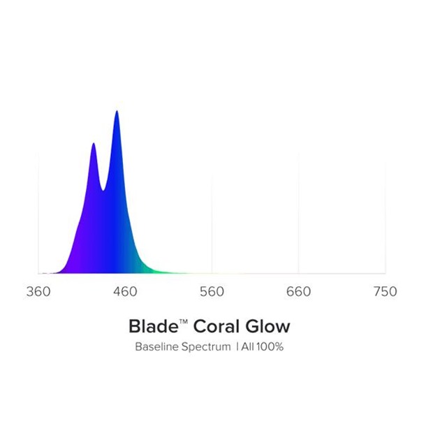 AI Blade Coral Glow