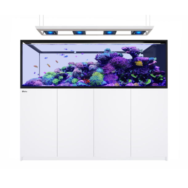 Red Sea Reefer Max Peninsula G3