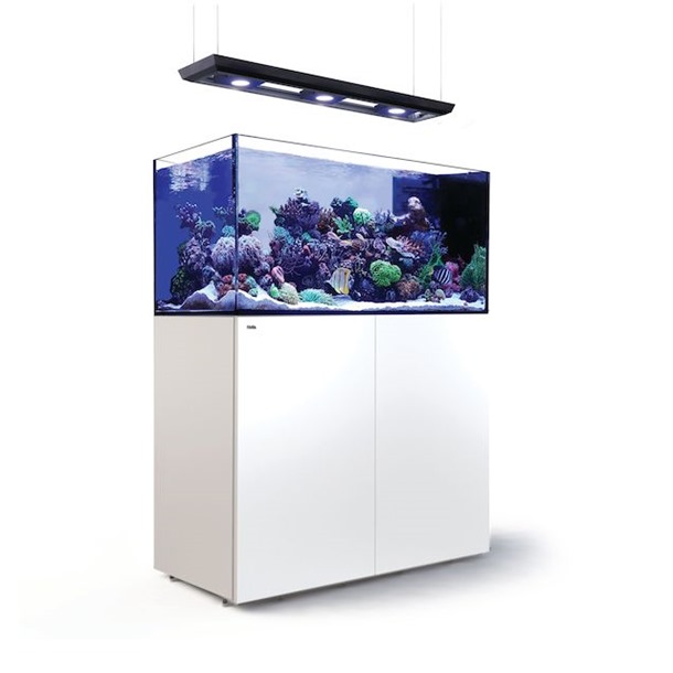Red Sea REEFER MAX Peninsula G3+ – Complete Marine Reef Aquarium