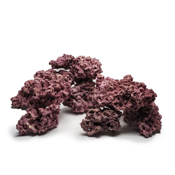 D-D Marco Rock Coralline