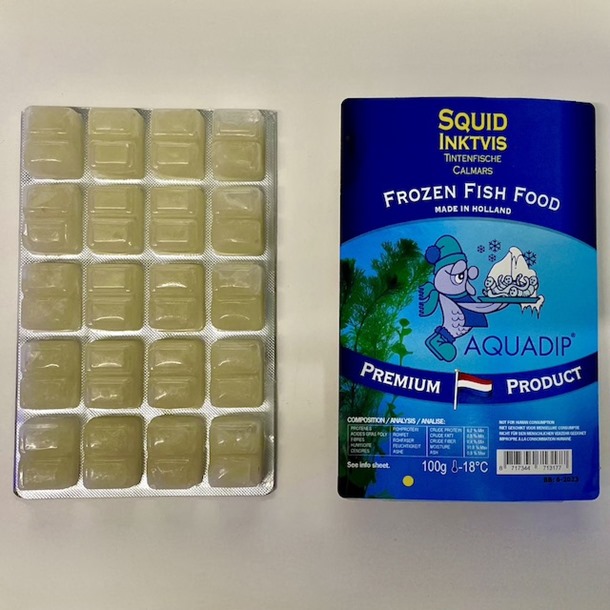 AQUADIP Squid Frozen Food – 100g