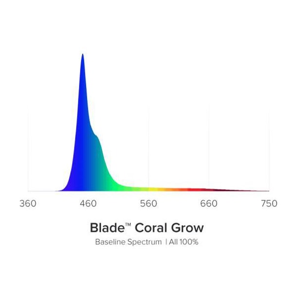 AI Blade Coral Growth