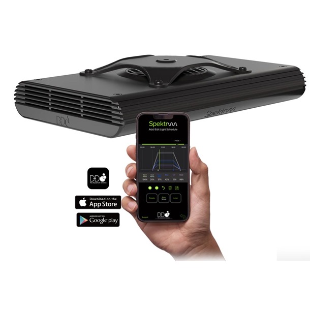 D-D Spektrum LED