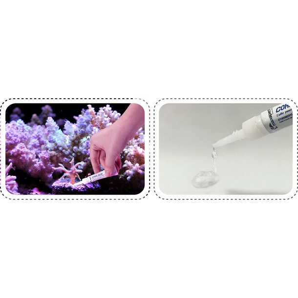 Maxspect Coral Glue 5g Tube 