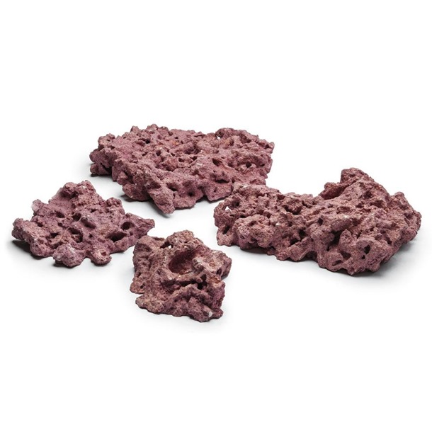 D-D Marco Rock Coralline