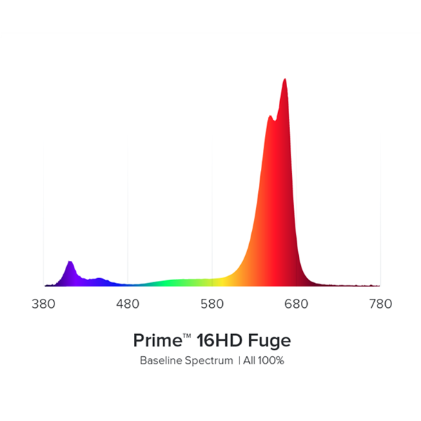 AI Prime Fuge