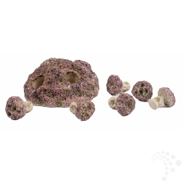 TMC Coral Frag Rock