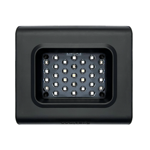 D-D Spektrum LED