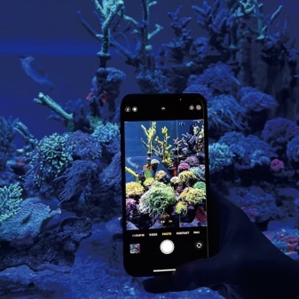 Maxspect TRUREEF Lens