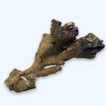 Branch Live Rock per/Kg