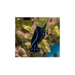 Blue Neon Nudibranch