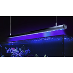 Reef Factory Reef Flare Bar 2