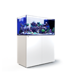 Red Sea REEFER Peninsula G3+ – Reef-Ready Marine Aquarium & Cabinet