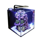 TMC Next Wave 60 – Nano Marine Reef Aquarium & LED Set