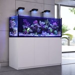 Red Sea Reefer G3 Deluxe