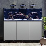 Waterbox Infinia