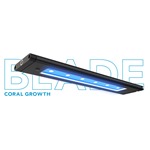 AI Blade Coral Growth