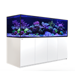 Red Sea Reefer S G2
