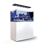 Red Sea REEFER MAX Peninsula G3+ – Complete Marine Reef Aquarium