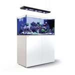 Red Sea Reefer Peninsula G2+ Deluxe