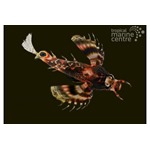 Fu Manchu Lionfish
