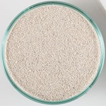 CaribSea Oolite Sand