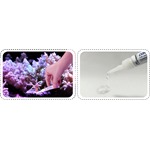 Maxspect Coral Glue 5g Tube 